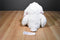 Baby Ganz Bellifuls White Beige Lamb Rattle Beanbag Plush