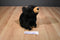 Smithsonian Wild Heritage Collection Black Bear Cub 1989 Plush