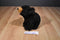 Smithsonian Wild Heritage Collection Black Bear Cub 1989 Plush