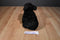 Smithsonian Wild Heritage Collection Black Bear Cub 1989 Plush