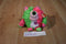 Ty Monstaz Spike Pink and Green Monster 2014 Beanbag Plush With No Sound