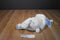 Aurora Baby Bunny Rabbit White and Blue Plush