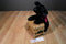 Russ Ginger the Black Lab with Red Bow Beanbag Plush