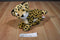 Aurora Cheetah Cub Beanbag Plush