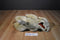 Ganz Heritage Wrinkles the Beige Hound Dog Puppet Plush