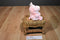 Russ Mini Pink Pig Celeste Beanbag Plush