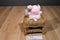 Russ Mini Pink Pig Celeste Beanbag Plush