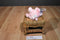 Russ Mini Pink Pig Celeste Beanbag Plush