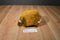 Nanco Pixel M8 Brown and White Dog Plush