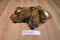 Carousel by Guy Flat Brown and White Bunny Rabbit Plush