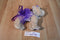 Justice Cocker Spaniel Puppy in Purple Zebra Striped Dress 2013 Purse Bag