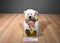 Walgreens Golden Bear Co. Beige and Brown Mohair Bear 2002 Plush