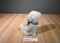 Walgreens Golden Bear Co. Beige and Brown Mohair Bear 2002 Plush