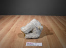 Walgreens Golden Bear Co. Beige and Brown Mohair Bear 2002 Plush