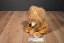 Mary Meyer Lil Leroy Orange and Brown Lion Beanbag Plush