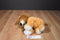 Mary Meyer Lil Leroy Orange and Brown Lion Beanbag Plush