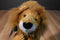 Mary Meyer Lil Leroy Orange and Brown Lion Beanbag Plush