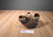 Mary Meyer Brown Koala Plush