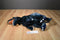 Toy Factory Jurassic World Blue the Velociraptor 2015 Plush