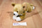 Russ Yomiko Tan and White Chihuahua Beanbag Plush