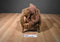 Russ Frizzly Brown Bear Beanbag Plush