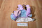 Poochie and Co. Purple Blue and Pink Poodle Plush Bag Purse