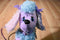 Poochie and Co. Purple Blue and Pink Poodle Plush Bag Purse