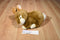 Russ Puddles Brown Cream Bunny Rabbit Plush