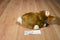Russ Puddles Brown Cream Bunny Rabbit Plush