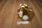 Russ Puddles Brown Cream Bunny Rabbit Plush