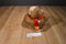 Good Stuff Nintendo Super Mario Donkey Kong 2016 Plush