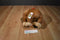 Good Stuff Nintendo Super Mario Donkey Kong 2016 Plush