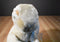 Commonwealth Beige Bunny Rabbit 2006 Beanbag Plush with Blue Bow and Rose