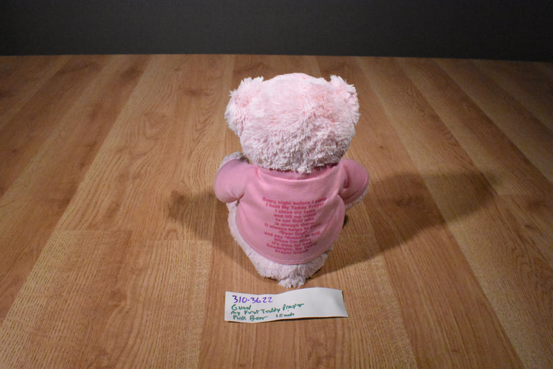 Baby Gund My First Teddy Prayer Pink Bear Plush
