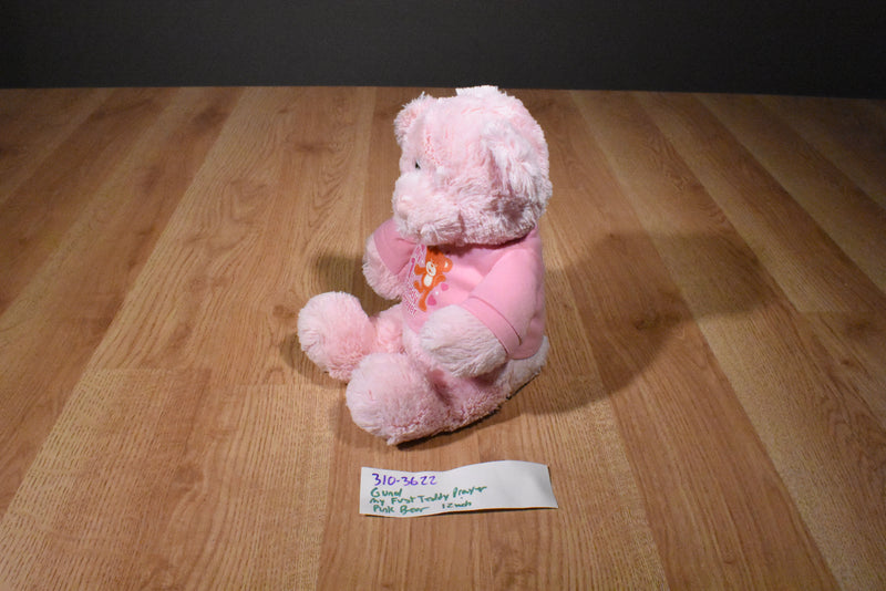 Baby Gund My First Teddy Prayer Pink Bear Plush