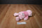 Baby Gund My First Teddy Prayer Pink Bear Plush