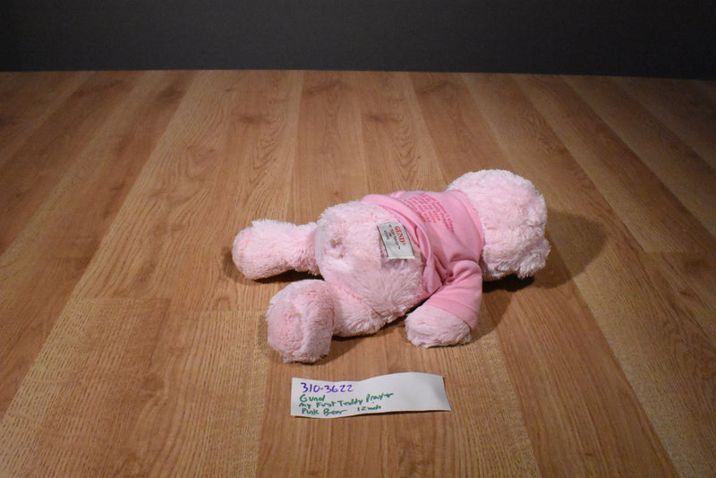 Baby Gund My First Teddy Prayer Pink Bear Plush