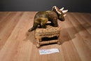 Douglas Brown Triceratops Plush