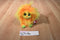Ty Frizzys "Tang" Orange Yellow Green Monster 2016 Beanbag Plush