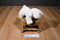 Baby Gund Winky White Lamb Rattle Plush