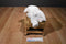 Baby Gund Winky White Lamb Rattle Plush