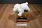 Baby Gund Winky White Lamb Rattle Plush