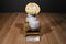 Disney Aristocats Marie Plush in a Beach Hat Holding a Shell