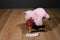 Toy Puli International Pink and Red Duck Plush