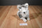 Mary Meyer Black and White Husky Dog 1992 Plush with Blue Eyes