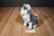 Mary Meyer Black and White Husky Dog 1992 Plush with Blue Eyes