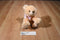 Russ Teddy of Mine Brown Beige Bear Plush