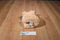 Russ Teddy of Mine Brown Beige Bear Plush
