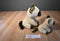 Ty Classic 2017 and Babies 2016 Jaden Siamese Cat Beanbag Plush