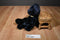 Russ Alleluia Peace Dark Blue Teddy Bear Beanbag Plush